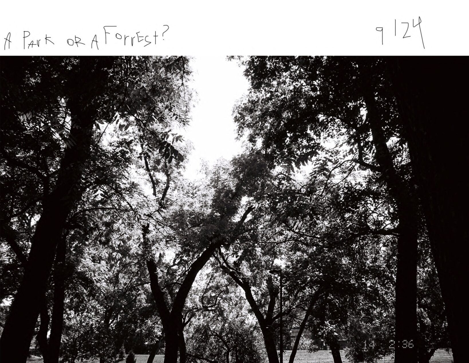 Film photo 1